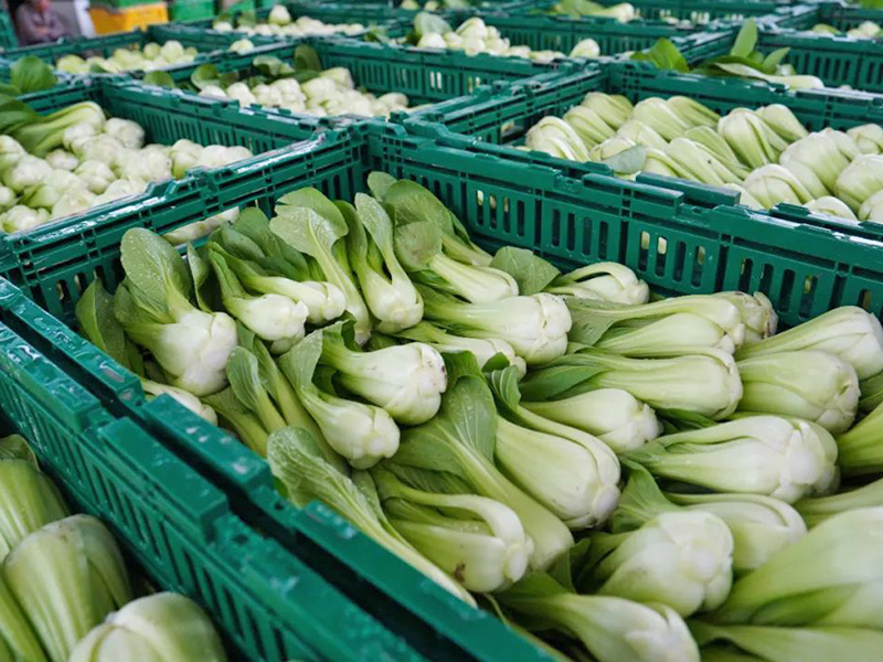 塑料周轉(zhuǎn)筐應用于超市菜